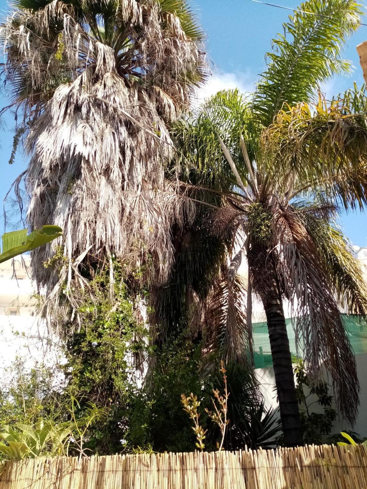 Villa Casa Rustica Olhão Exterior foto